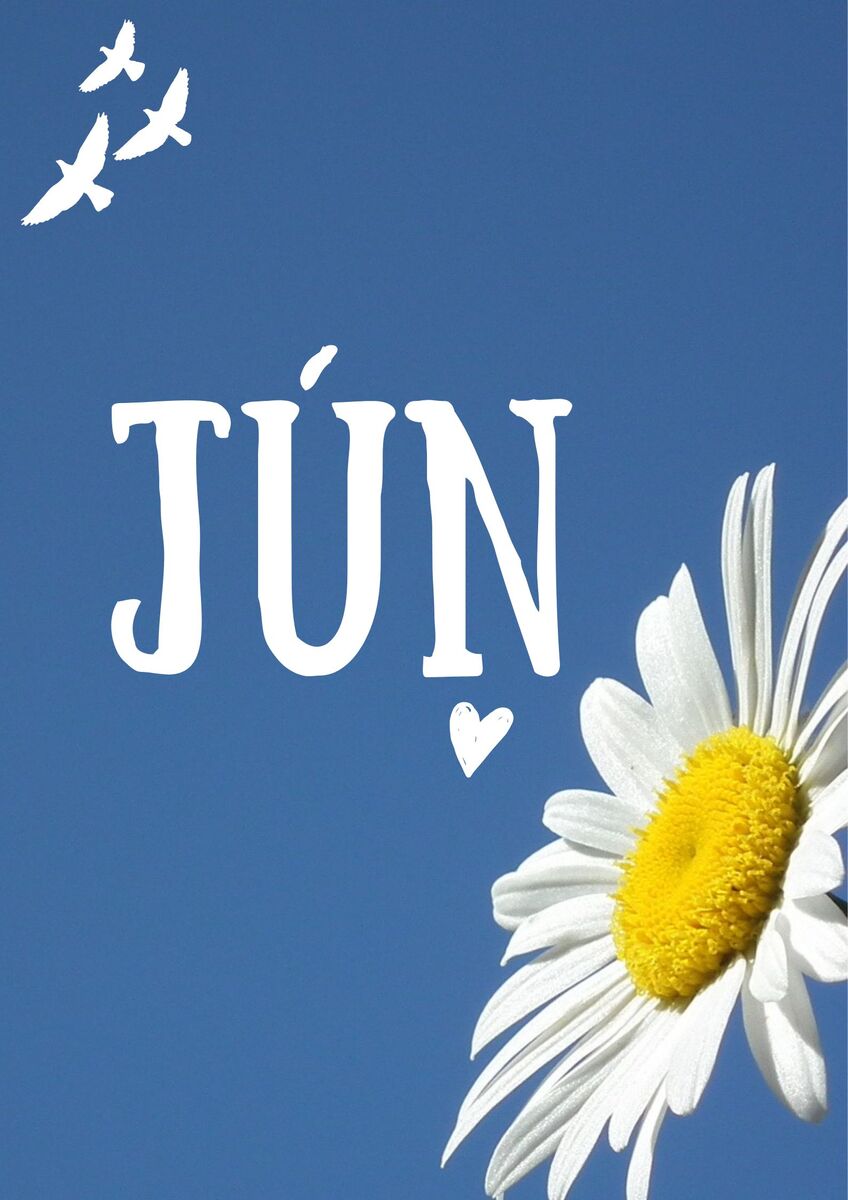 jun 2025 uvodna