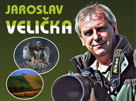 Jaroslav velicka Karvina nahlad