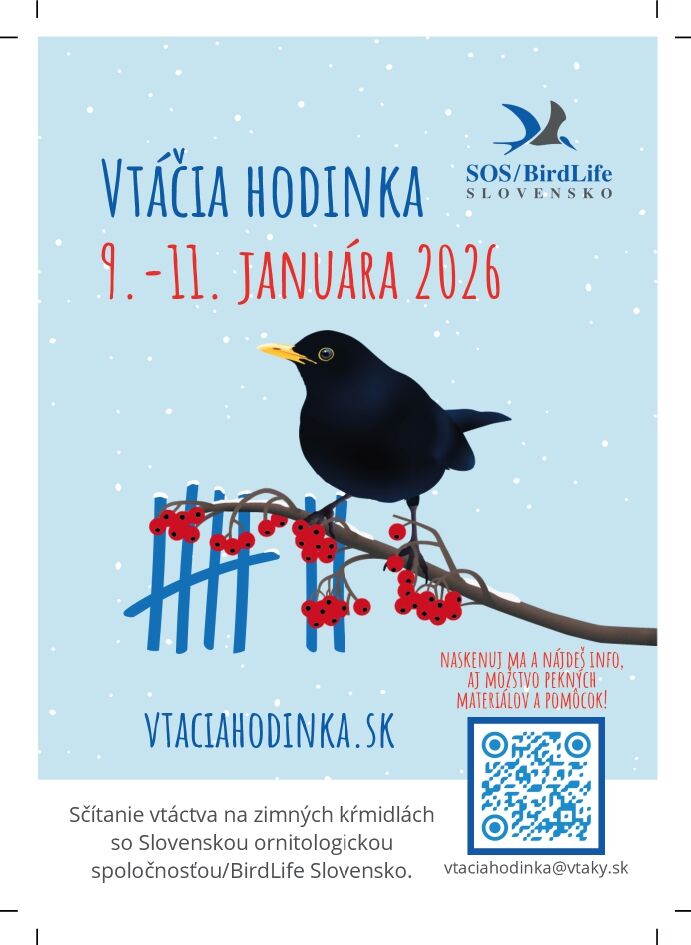 Vtacia hodinka 9. 11. januar 2026