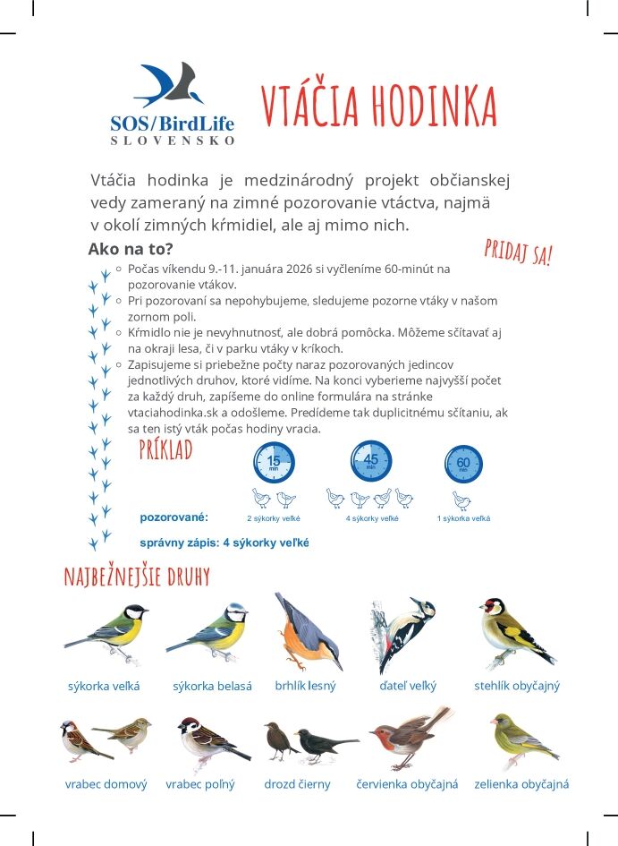 Vtacia hodinka 9. 11. januar 2026 2