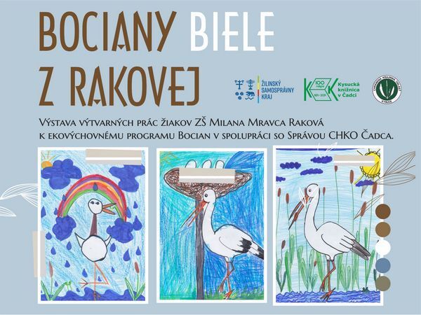 bociany biele cr