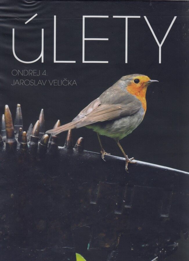 ULETY